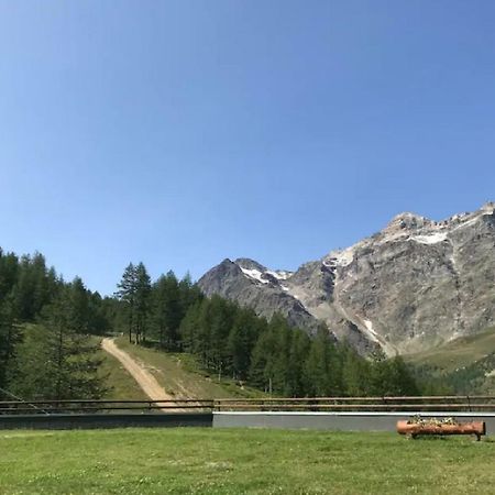 Cervinia Ski In Ski Out - Studio On The Slopes Breuil-Cervinia Exterior photo